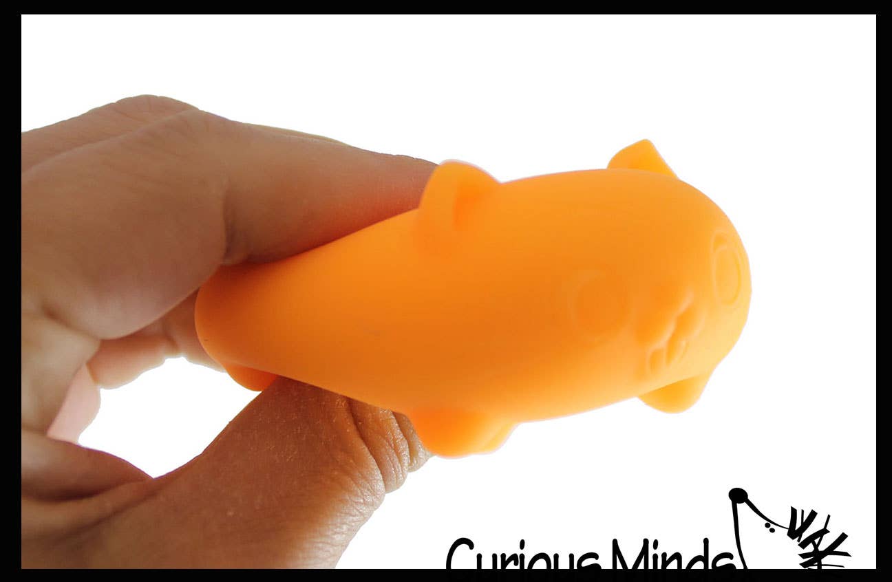 Bola elástica rellena de masa suave NeeDoh Teenie Cool Cat Groovy