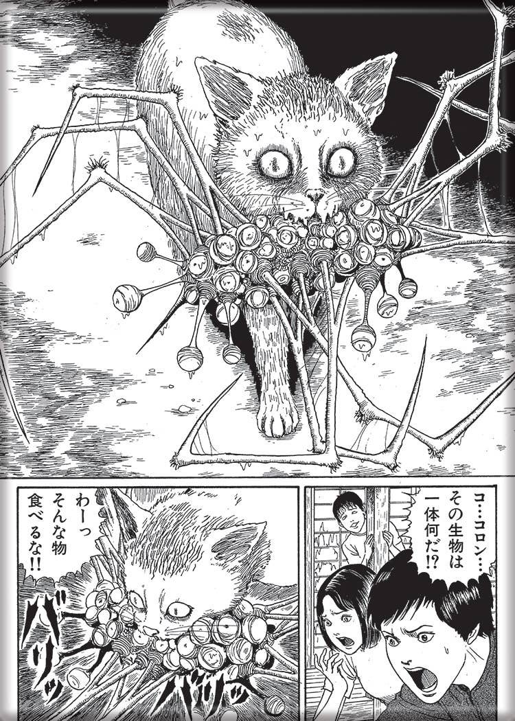 Junji Ito Maniac Junji Ito Cat With Monster Magnet