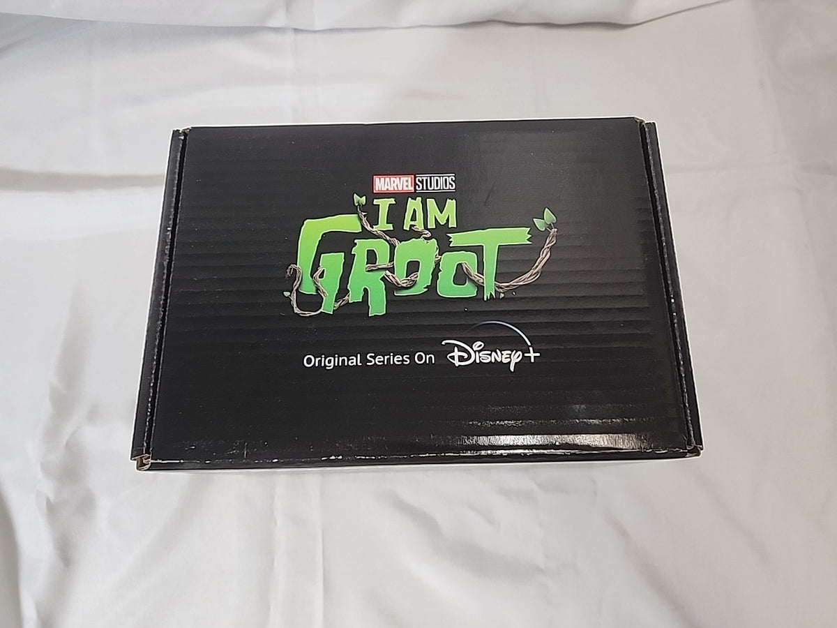 Funko Pop I am Groot Marvel Collector Corps Box Set Shirt Size2XL,JJ-B-044