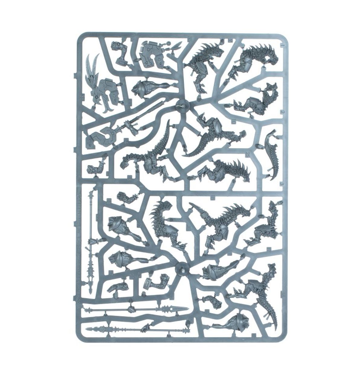 Warhammer Age of Sigmar: Seraphon Spearhead Merodeadores de Sangre Solar