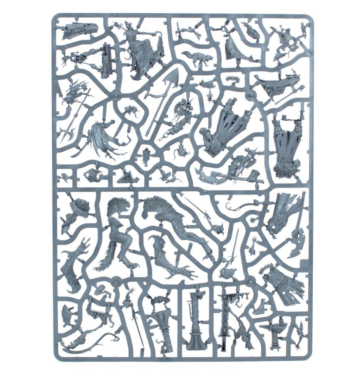 Warhammer Quest: Cursed City