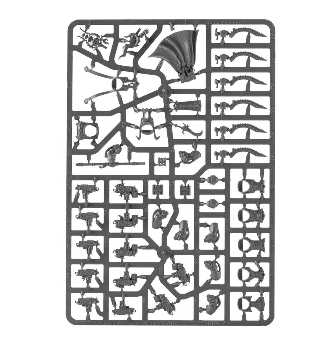 Warhammer 40000 Thousand Sons Battleforce Sekhmet Coven