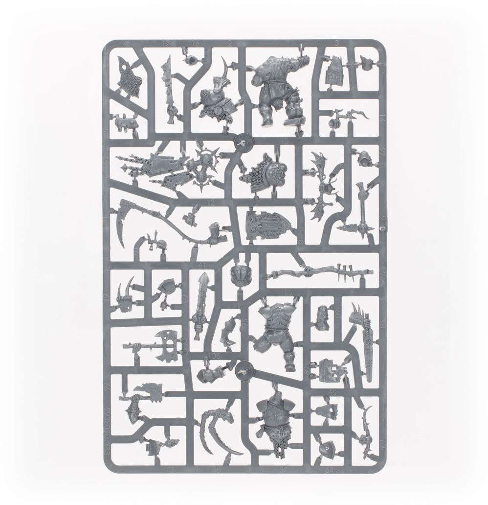 Warhammer Age of Sigmar: Maggotkin de Nurgle Battleforce: Quiste de Shudderblight