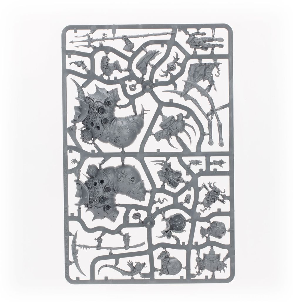 Warhammer Age of Sigmar: Maggotkin de Nurgle Battleforce: Quiste de Shudderblight