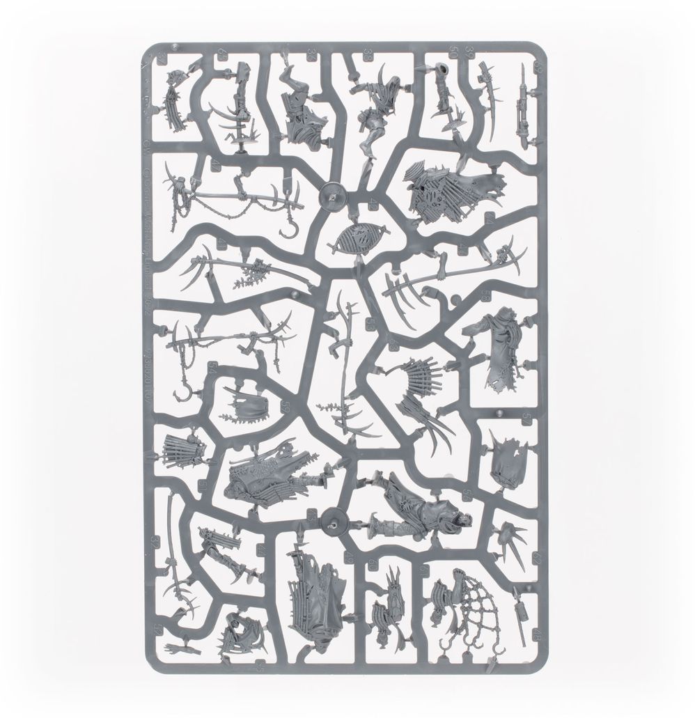 Warhammer Age of Sigmar: Maggotkin de Nurgle Battleforce: Quiste de Shudderblight