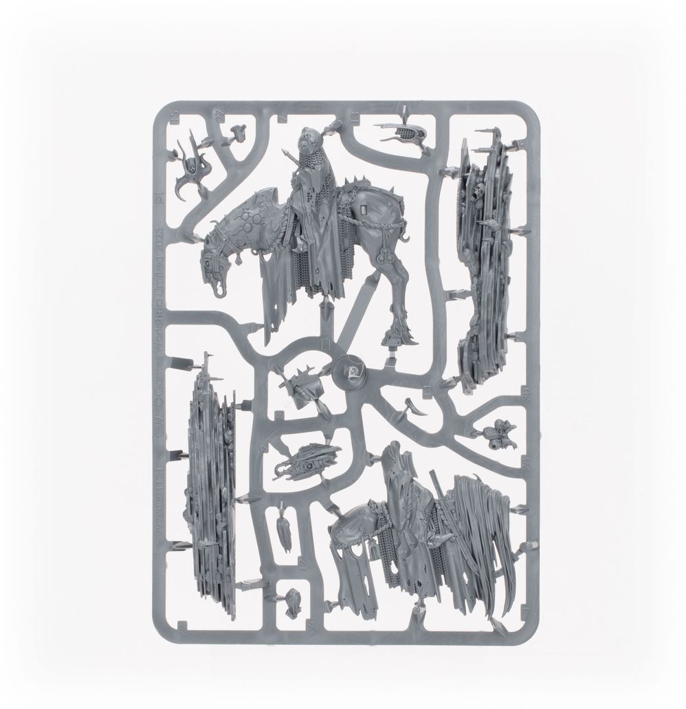 Warhammer Age of Sigmar: Maggotkin de Nurgle Battleforce: Quiste de Shudderblight