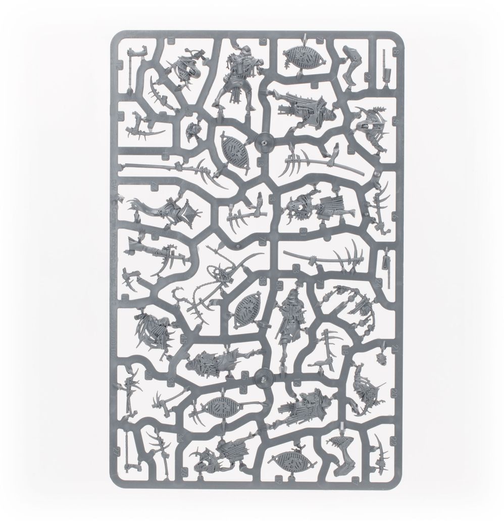 Warhammer Age of Sigmar: Maggotkin de Nurgle Battleforce: Quiste de Shudderblight