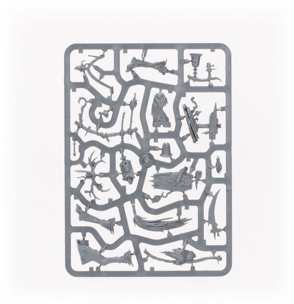 Warhammer Age of Sigmar: Maggotkin de Nurgle Battleforce: Quiste de Shudderblight