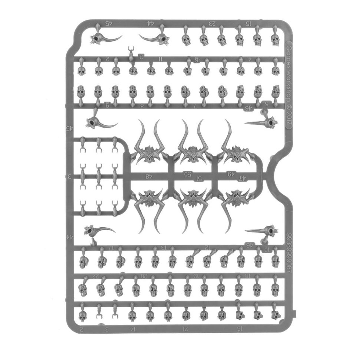 Ciudadela: Calaveras