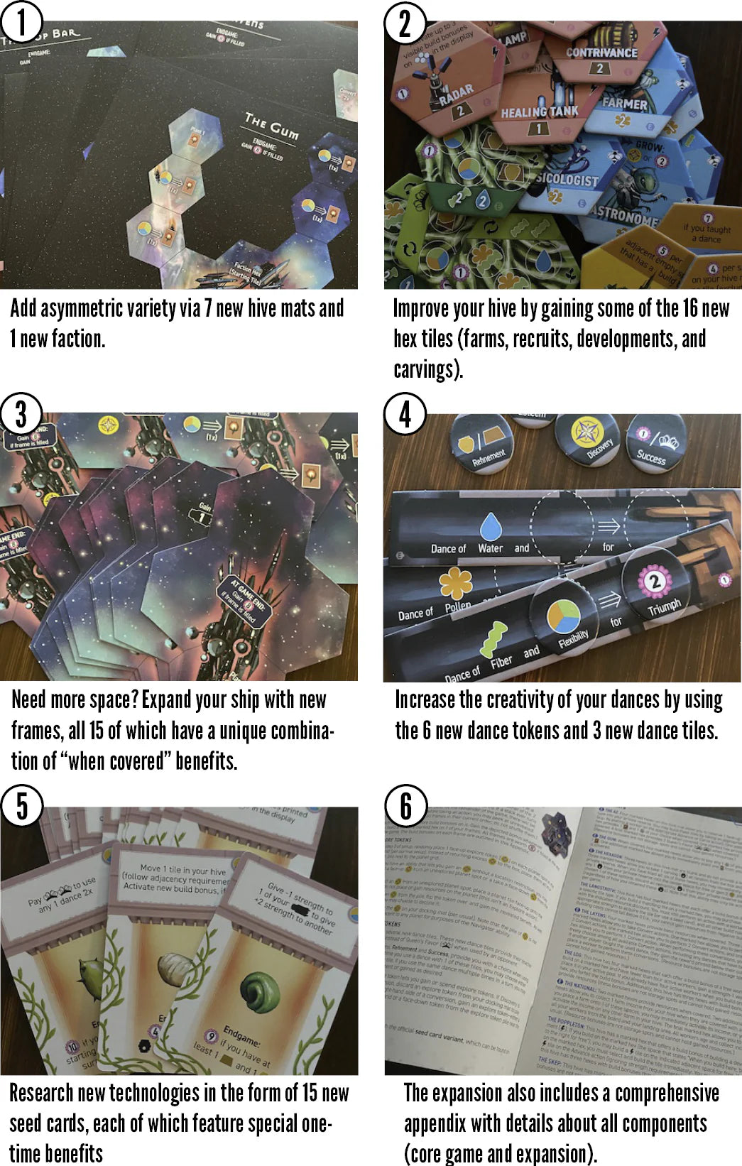 Apiario: Ampliación de la colmena - Primera expansión