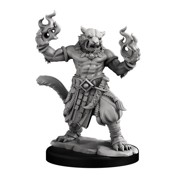 Villains Set: Inquisitor & Rakshasa