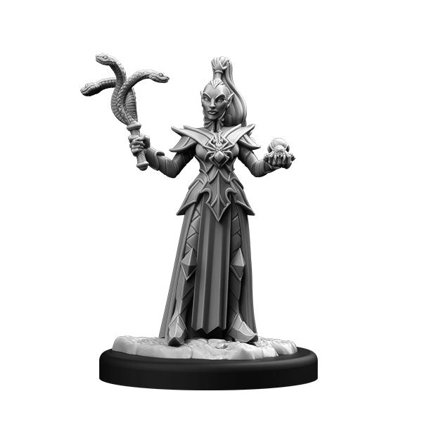 Drow Assassin & Drow Priestess