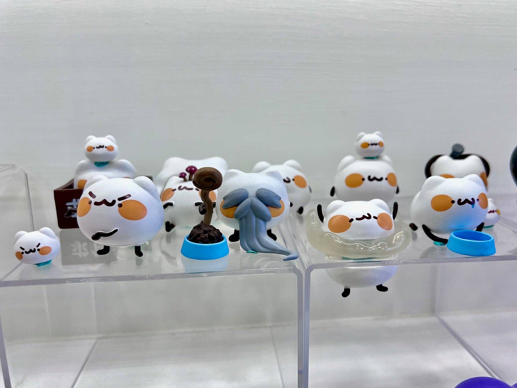 Caja ciega de gatos de malvavisco-9