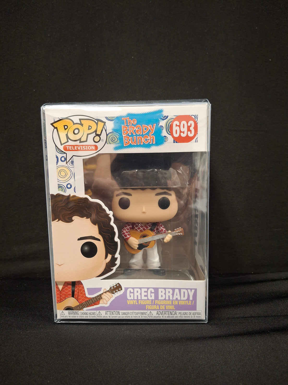 The Brady Brunch - Greg Brady