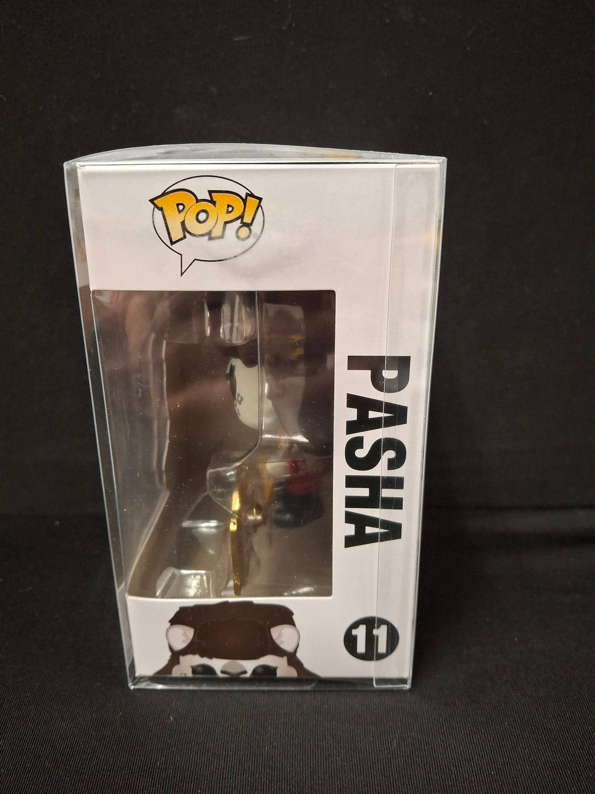 Around the World - Pasha