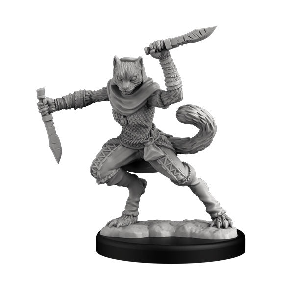 Player Character Set: Catfolk Huntress & Sorcerer