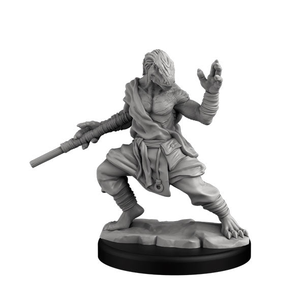 Player Character Set: Dragonborn Fighter & Monk