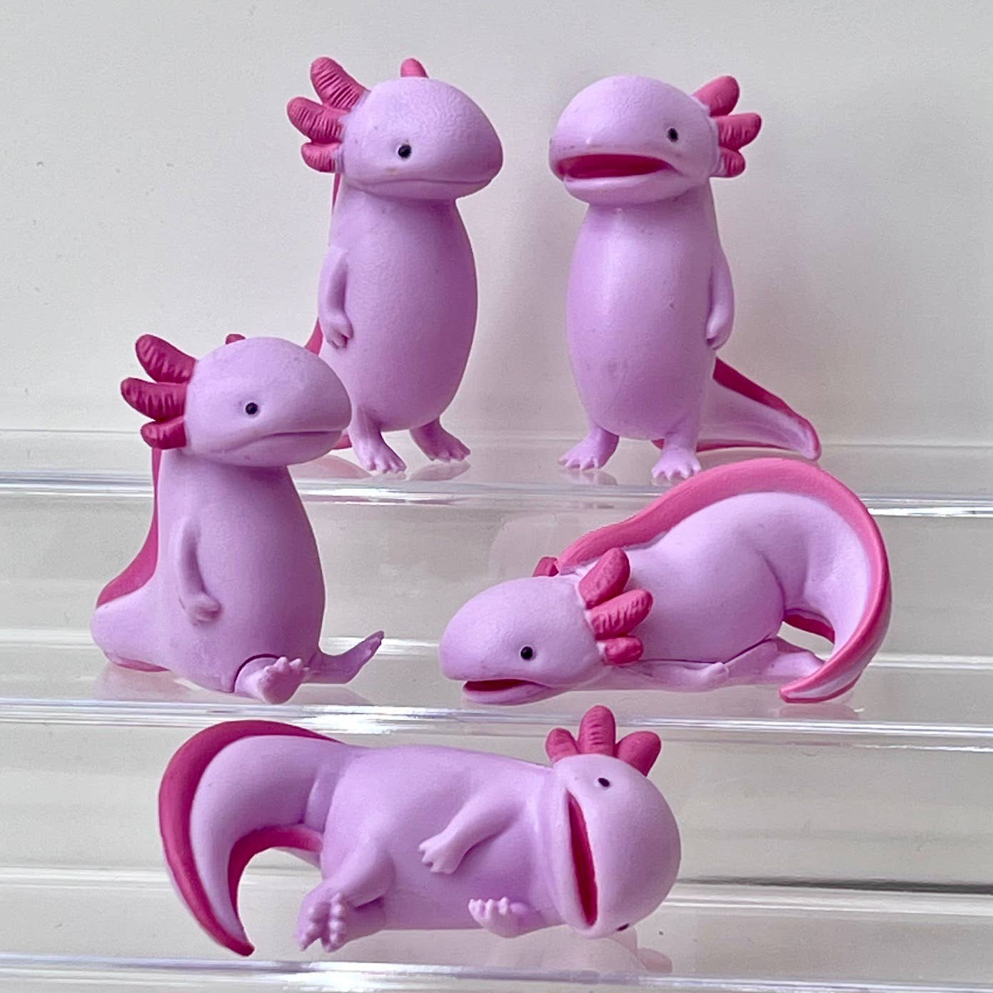 Axolotl Void Blind Box