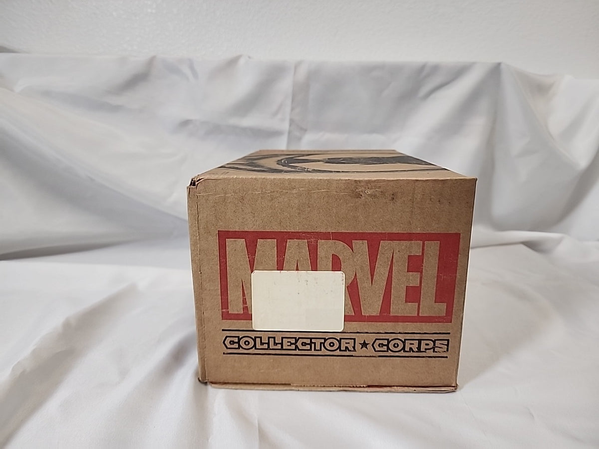 Funko Marvel Collector Corps Villains Subscription Box Complete XL,JJ-B-041