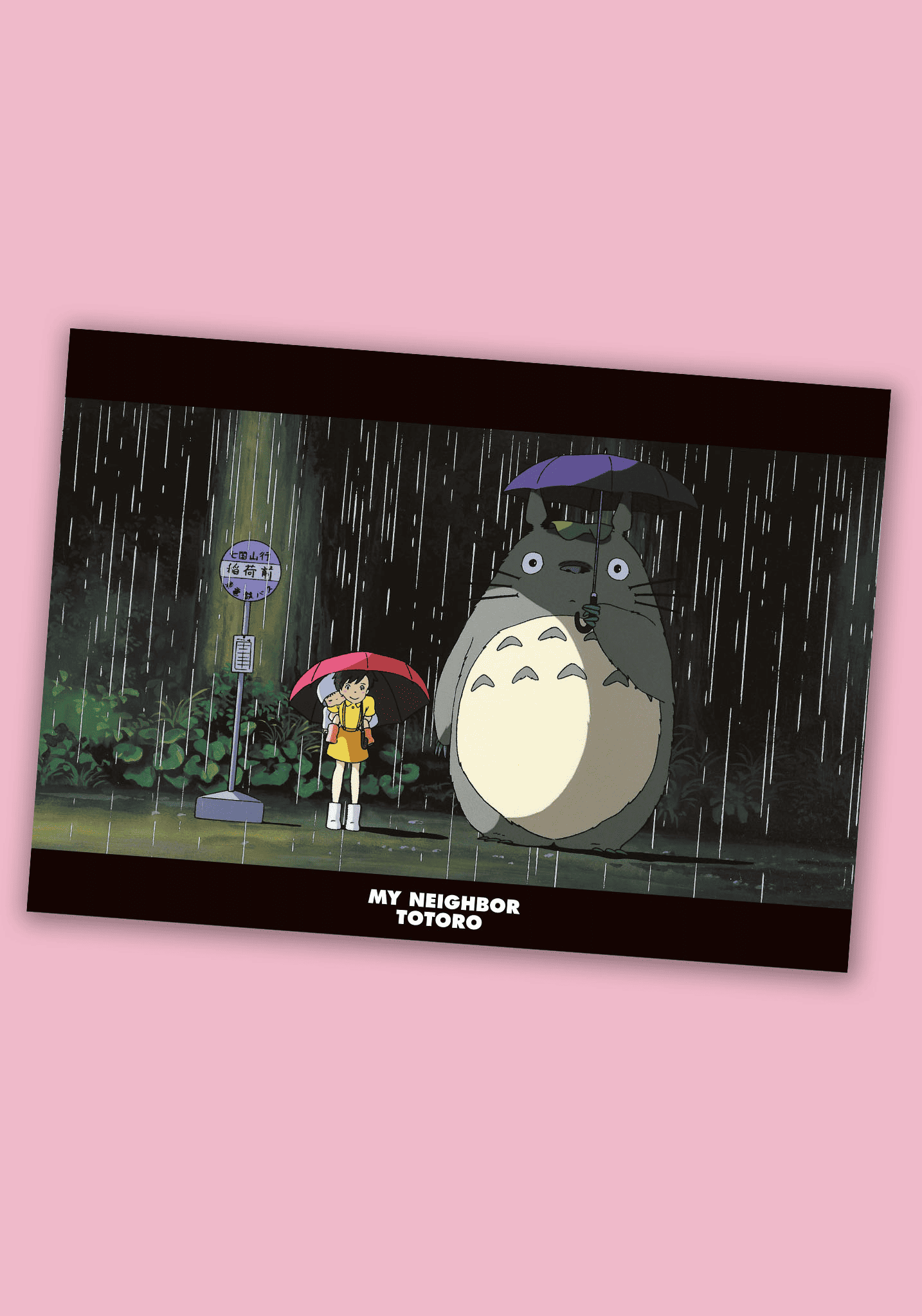 My Neighbor Totoro A4 Clear Document Folder (09)