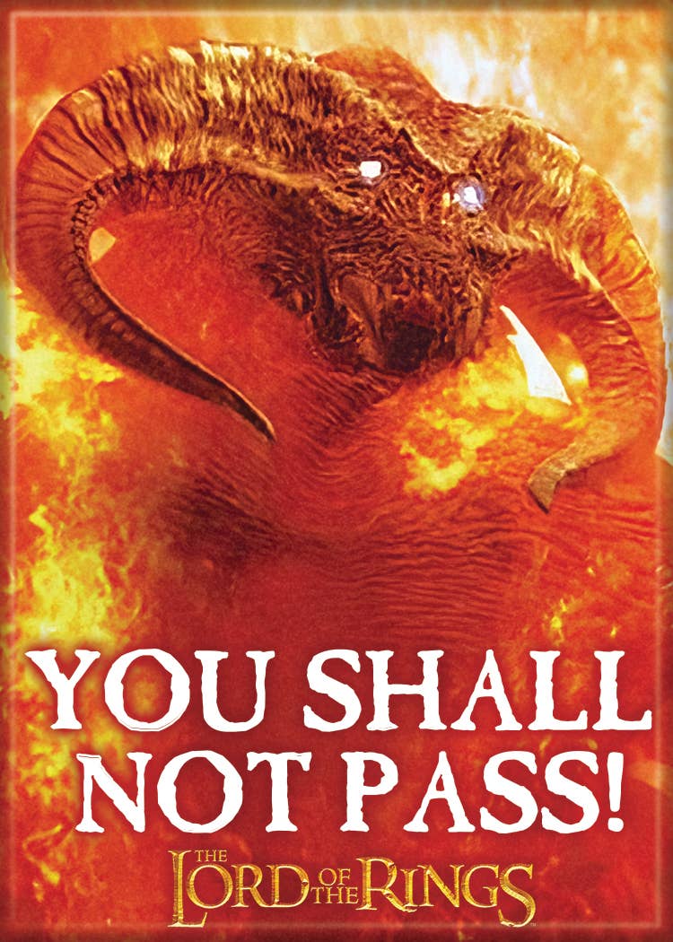 Lord of the Rings You Shall Not Pass! Magnet