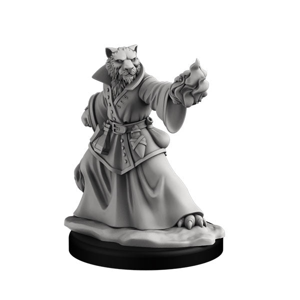 Player Character Set: Catfolk Huntress & Sorcerer