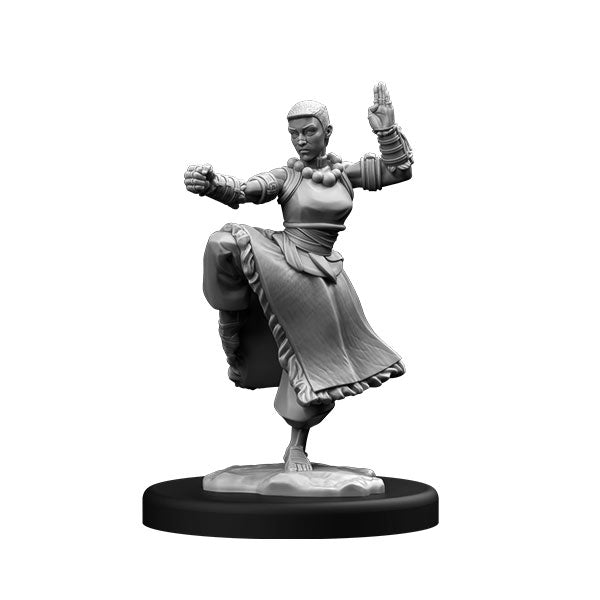 Player Character Set: Human Cleric & Monk