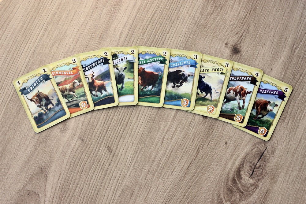 Great Western Trail El Paso