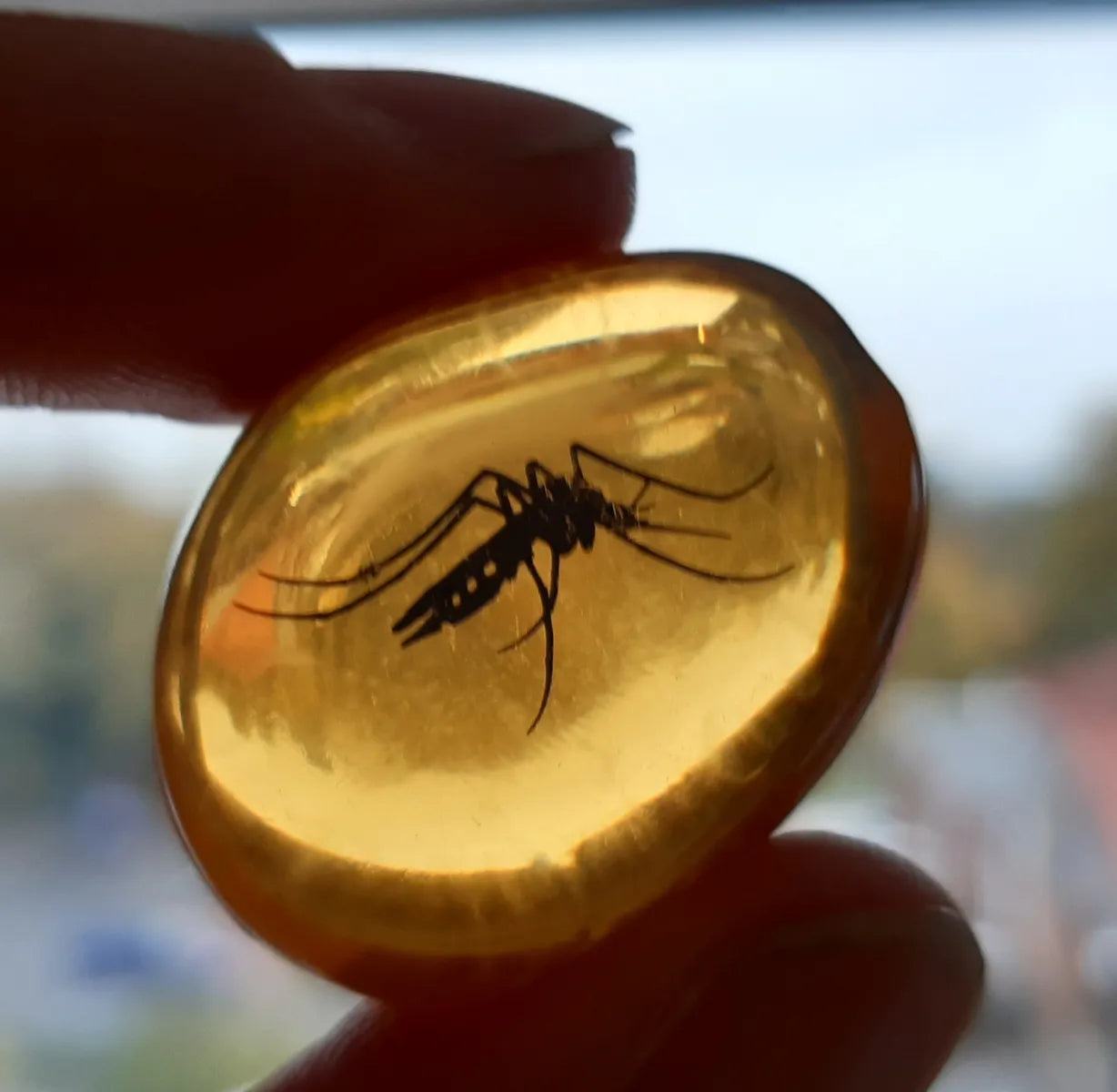 [USED] Jurassic Parts