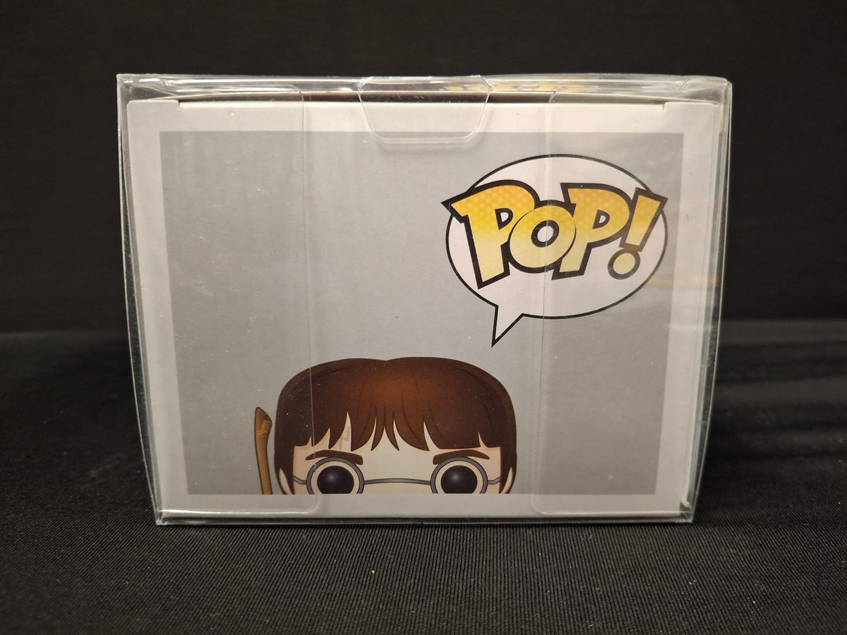 Harry Potter (Hot Topic Exclusive Pre-Release)