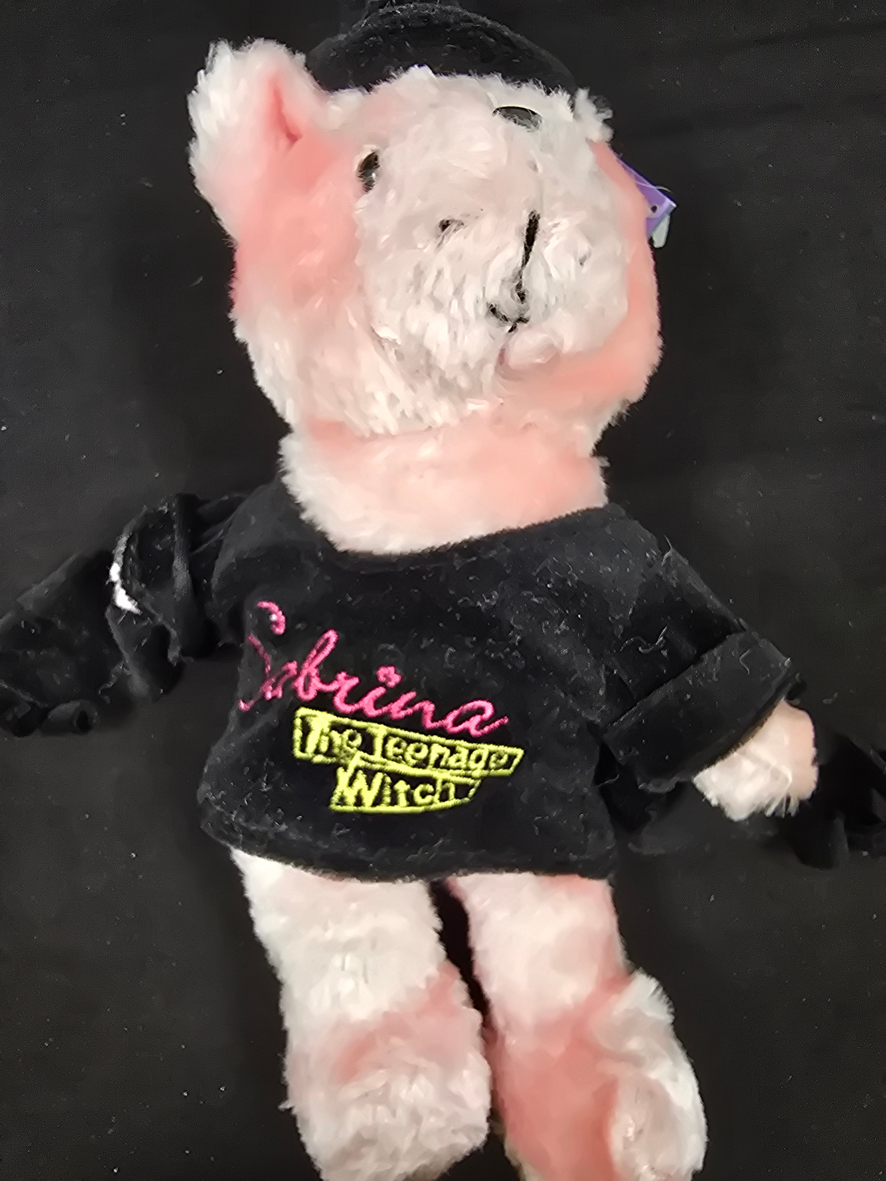 Teddy Bear - Sabrina the Teenage Witch
