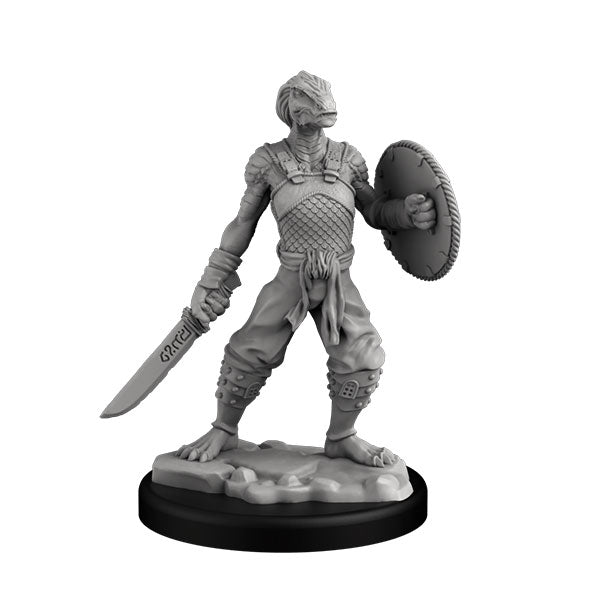 Player Character Set: Dragonborn Fighter & Monk